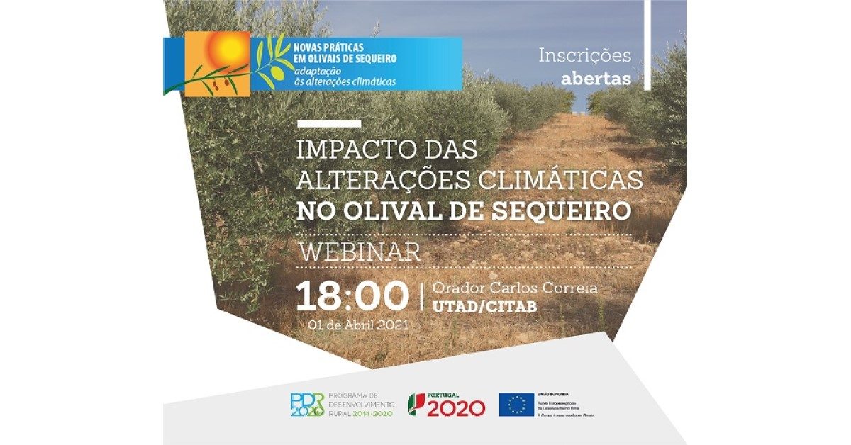 noticia